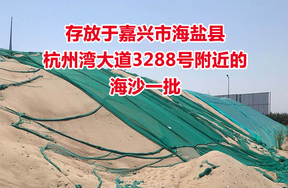 存放于嘉兴市海盐县杭州湾大道3288号附近的海沙一批