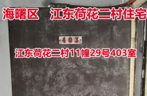 序号4：江东荷花二村11幢29号403室