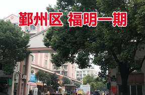 鄞州区属存量房第七批（福明一期2套）