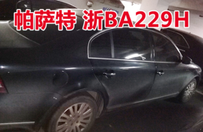 浙BA229H帕萨特牌小型轿车壹辆