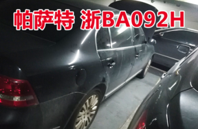 浙BA092H帕萨特牌小型轿车壹辆