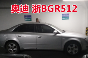 浙BGR512奥迪牌小型轿车壹辆