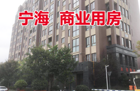 位于宁海县西店镇尚品苑区块1楼9套商业用房