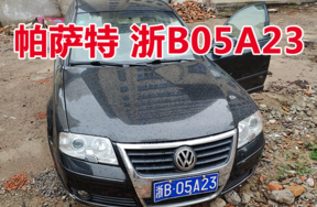 浙B05A23帕萨特轿车壹辆