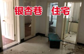 鄞州区银杏巷3套住宅（分体拍）