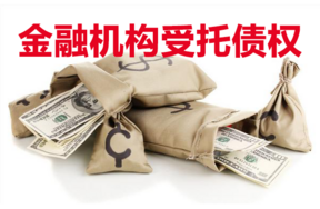 委托人所拥有的宁波欣源洁贸易有限公司的债权权益