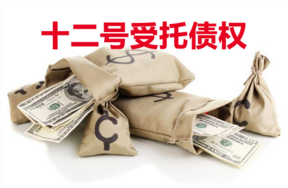 十二号受托债权