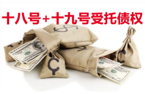 十八号 + 十九号受托债权