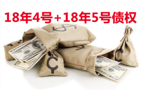 18年4号+18年5号债权（线下拍，成交价2060万元）