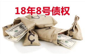 18年8号债权（线下拍，成交价550万元）
