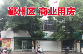 位于宁波市鄞州区中河街道凤凰新村永达路108号房地产（整体拍卖）