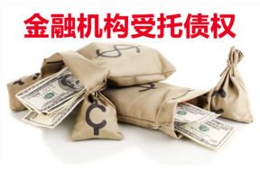 委托人所拥有的宁波盛邦建设开发有限公司的债权权益