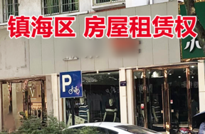 位于镇海区的10处房屋租赁权