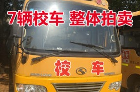 金龙牌大型专用校车共7辆，整体拍卖