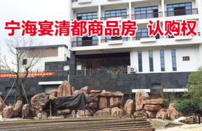 位于宁海县岔路镇白溪村“天河度假中心（1期）宴清都”44套非住宅商品房的认购权
