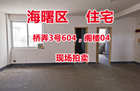 桥弄3号604，阁楼04