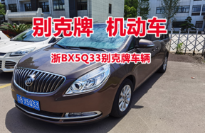 浙BX5Q33别克牌车辆