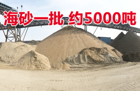 海砂一批，重量约5000吨