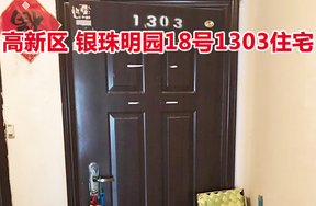 标的29：位于银珠明园18号1303的住宅