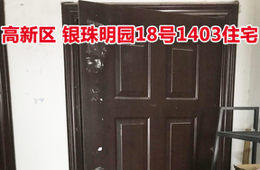 标的31：位于银珠明园18号1403的住宅