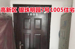 标的5：位于银珠明园7号1005的住宅