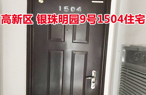 标的14：位于银珠明园9号1504的住宅