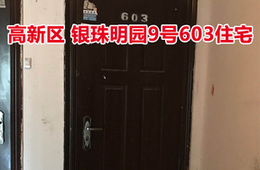 标的12：位于银珠明园9号603的住宅
