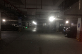 序号1：宝丰茗苑56号-1-1