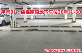 序号81：应嘉丽园地下车位36号-1-60