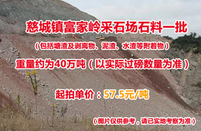 慈城镇富家岭采石场石料（包括塘渣及剥离物、泥渣、水渣等附着物）一批