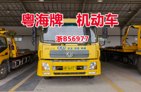 序号02：粤海牌浙B56977机动车
