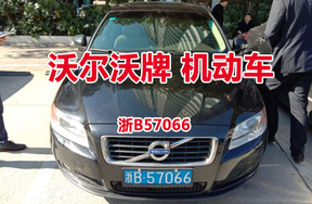 序号18：沃尔沃牌浙B57066机动车