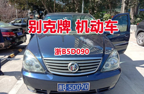 序号11：别克牌浙B5D090机动车