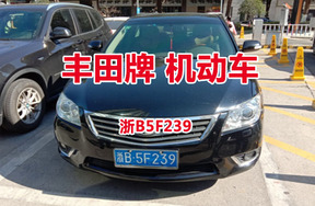 序号06：丰田牌浙B5F239机动车