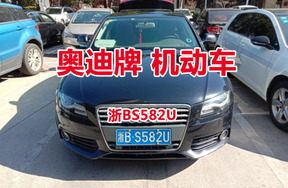 序号15：奥迪牌浙BS582U机动车