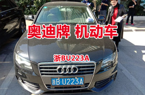 序号17：奥迪牌浙BU223A机动车