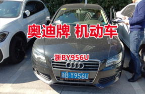 序号16：奥迪牌浙BY956U机动车