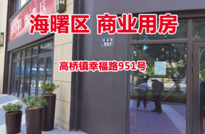 序号08：宁波市海曙区高桥镇幸福路951号