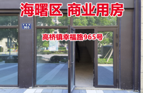 序号08：宁波市海曙区高桥镇幸福路965号