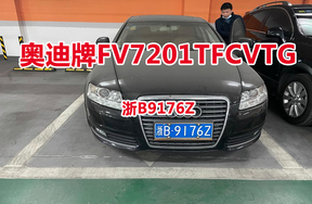 序号01:奥迪牌FV7201TFCVTG