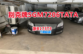 序号10:别克牌SGM7206TATA