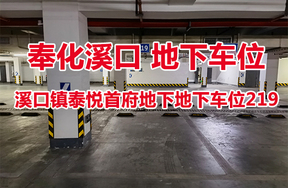 序号03：溪口镇泰悦首府地下地下车位219