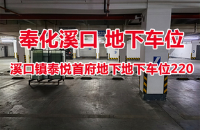 序号04：溪口镇泰悦首府地下地下车位220