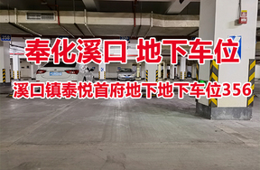 序号16：溪口镇泰悦首府地下地下车位356
