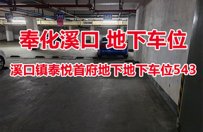 序号42：溪口镇泰悦首府地下地下车位543