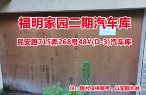 序号19：民安路715弄268号48#(D-3)汽车库