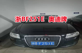 序号02：浙BF251E奥迪牌