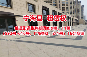 序号01：宁海县桃源街道悦隽明湖府9幢、11幢（592号-616号、广安路2、2-1号）16处商铺房屋租赁权