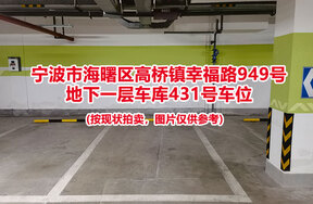 序号100：宁波市海曙区高桥镇幸福路949号
地下一层车库431号车位                              