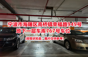 序号302：宁波市海曙区高桥镇幸福路949号
地下一层车库767号车位                              